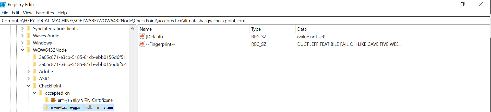 Registry Editor showing the folder named after the VPN site.