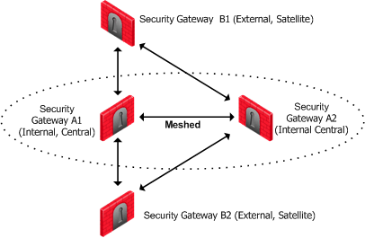 what is a check point vpn server