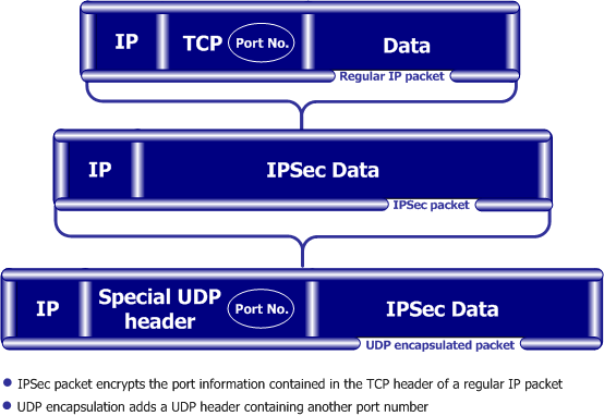 check point vpn udp issues