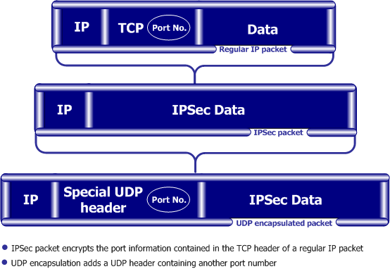 UDP Encapsulation