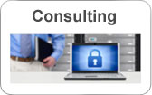 Consulting